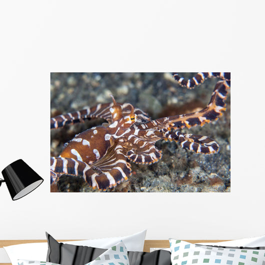 Wonderpus Octopus Crawls across Wall Decal Design 2