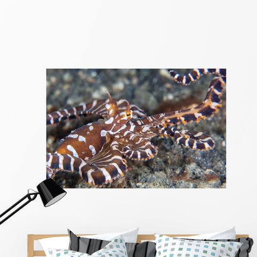 Wonderpus Octopus Crawls across Wall Decal Design 2
