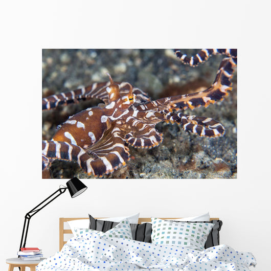 Wonderpus Octopus Crawls across Wall Decal Design 2