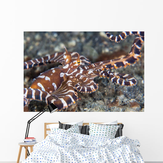 Wonderpus Octopus Crawls across Wall Decal Design 2