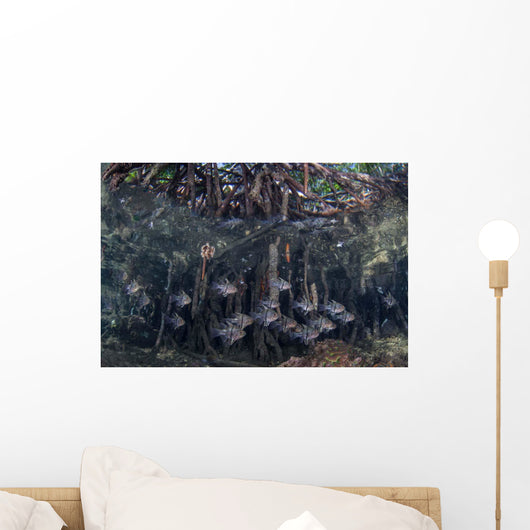 Orbiculate Cardinalfish Swimming underneath Wall Decal