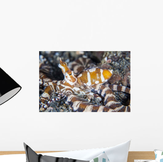 Wonderpus Octopus Crawls across Wall Decal Design 1