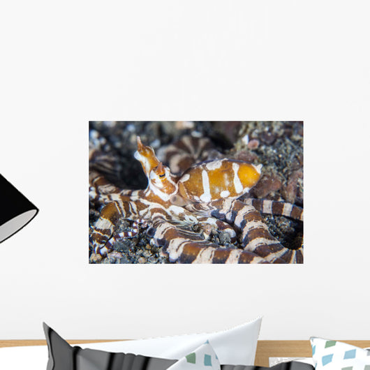 Wonderpus Octopus Crawls across Wall Decal Design 1