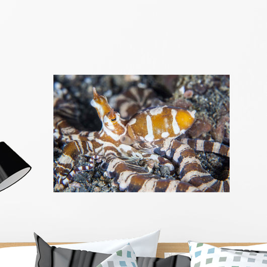 Wonderpus Octopus Crawls across Wall Decal Design 1