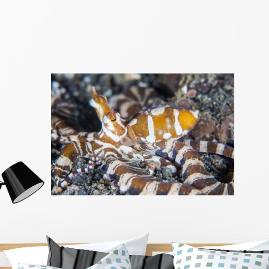 Wonderpus Octopus Crawls across Wall Decal Design 1