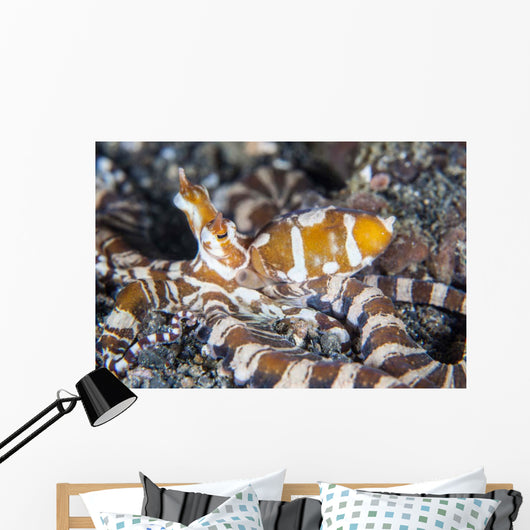 Wonderpus Octopus Crawls across Wall Decal Design 1