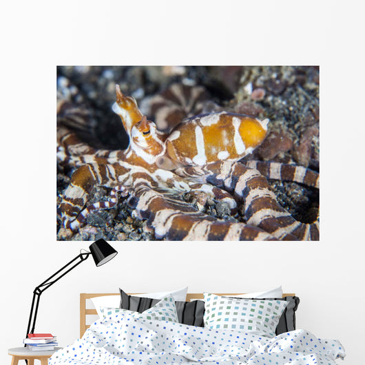 Wonderpus Octopus Crawls across Wall Decal Design 1