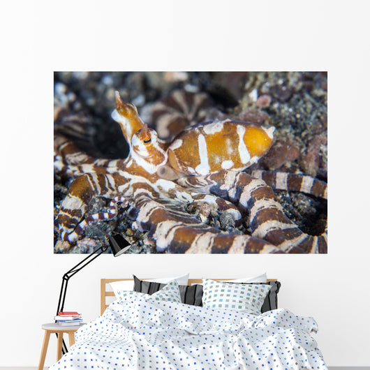 Wonderpus Octopus Crawls across Wall Decal Design 1