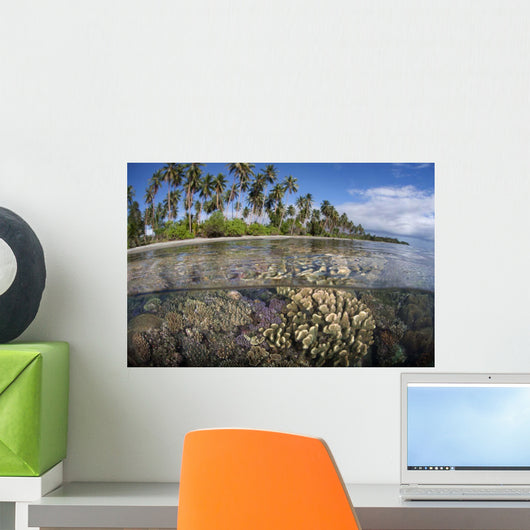 Coral Reef Grows near Wall Decal Design 1