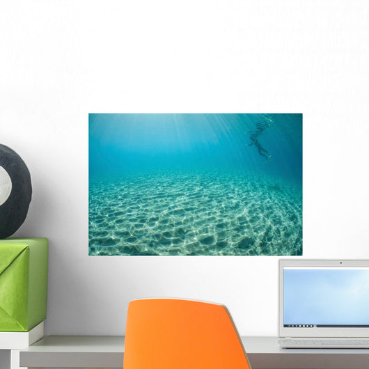 Diver Hovers above Sandy Wall Decal