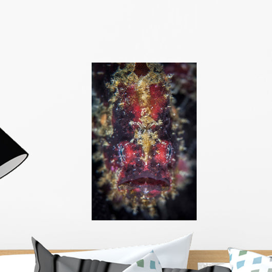 Well-camouflaged Frogfish Waits to Wall Decal Design 2