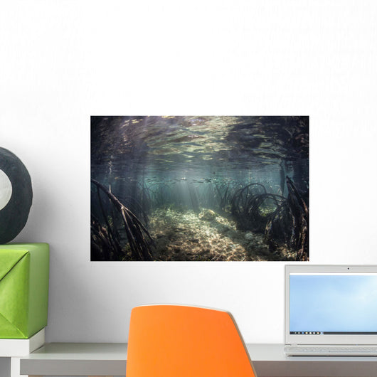 Beams Sunlight Shine down Wall Decal