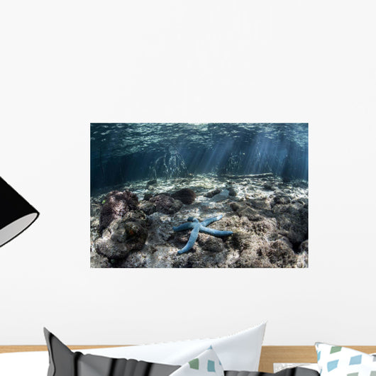 Blue Starfish Lies Seafloor Wall Decal