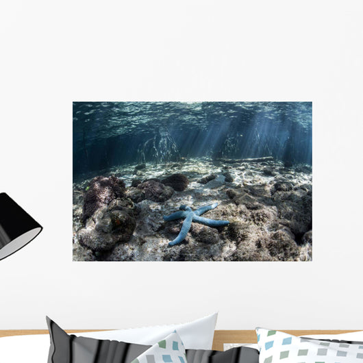 Blue Starfish Lies Seafloor Wall Decal