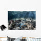 Blue Starfish Lies Seafloor Wall Decal