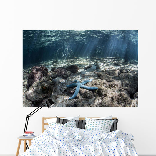 Blue Starfish Lies Seafloor Wall Decal