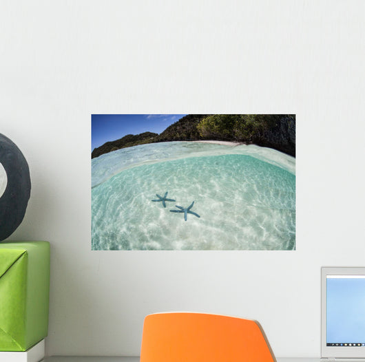 Pair Blue Starfish Seafloor Wall Decal