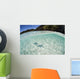 Pair Blue Starfish Seafloor Wall Decal
