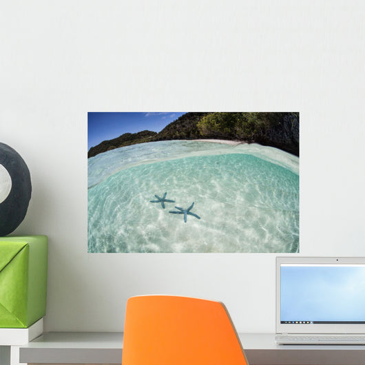 Pair Blue Starfish Seafloor Wall Decal