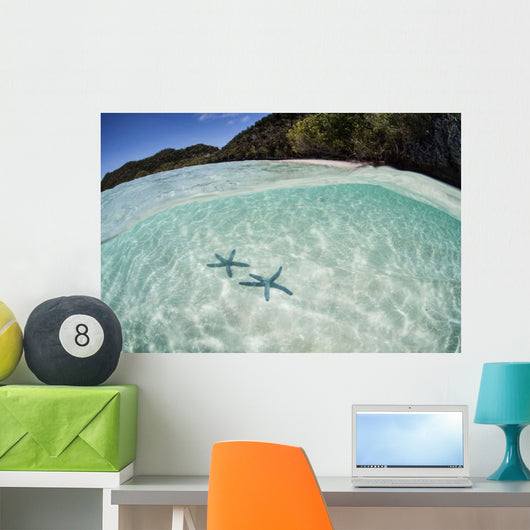 Pair Blue Starfish Seafloor Wall Decal