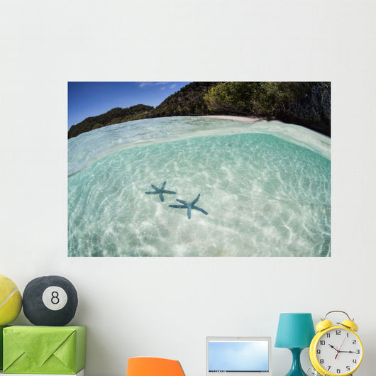 Pair Blue Starfish Seafloor Wall Decal