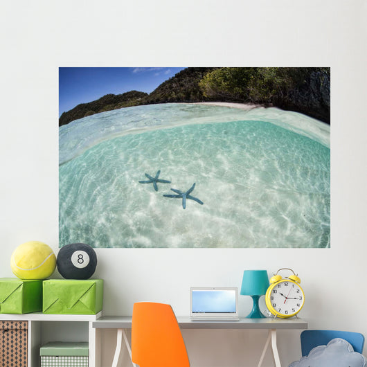 Pair Blue Starfish Seafloor Wall Decal