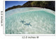 Pair Blue Starfish Seafloor Wall Decal