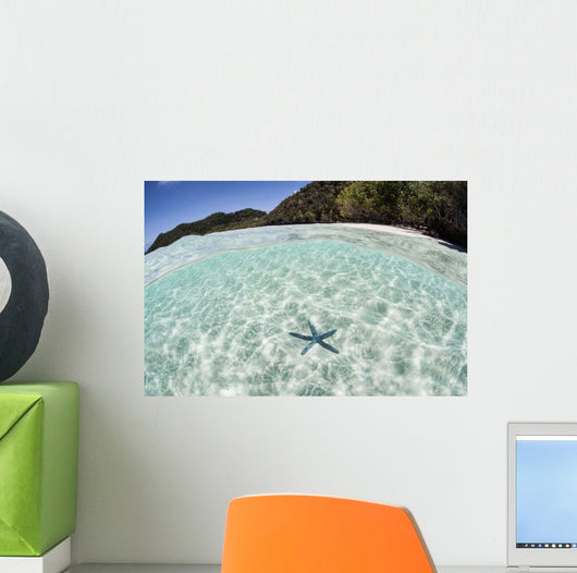 Blue Starfish Seafloor Raja Wall Decal