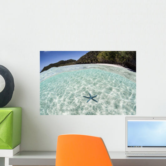 Blue Starfish Seafloor Raja Wall Decal