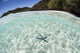 Blue Starfish Seafloor Raja Wall Decal