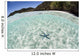 Blue Starfish Seafloor Raja Wall Decal