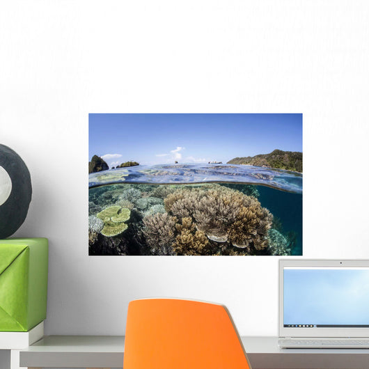 Beautiful Coral Reef Raja Wall Decal Design 1