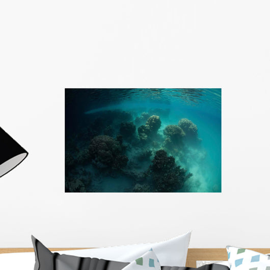 Strange Coral Growth Lake Wall Decal