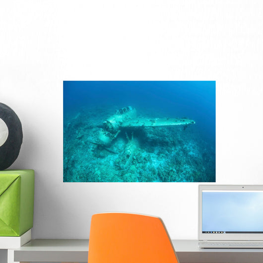 Japanese Jake Seaplane Seafloor Wall Decal Design 4