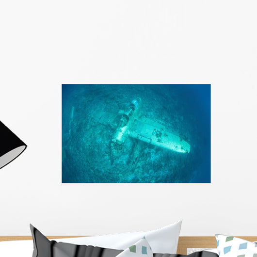 Japanese Jake Seaplane Seafloor Wall Decal Design 2