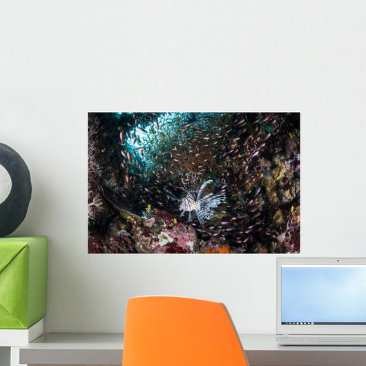 Lionfish Hunts for Prey Wall Decal Design 2