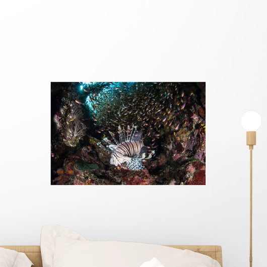 Lionfish Hunts for Prey Wall Decal Design 1