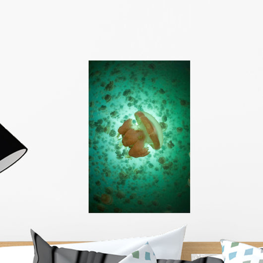Golden Jellyfish Swim inside Wall Decal Design 3
