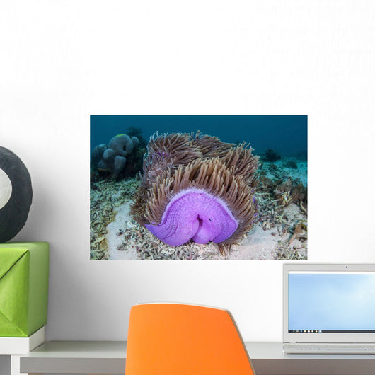 Magnificent Sea Anemone Grows Wall Decal