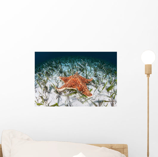 West Indian Starfish Seafloor Wall Decal Design 11