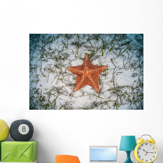 West Indian Starfish Seafloor Wall Decal Design 10