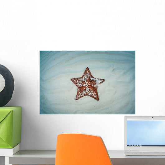 West Indian Starfish Seafloor Wall Decal Design 9