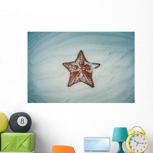 West Indian Starfish Seafloor Wall Decal Design 9