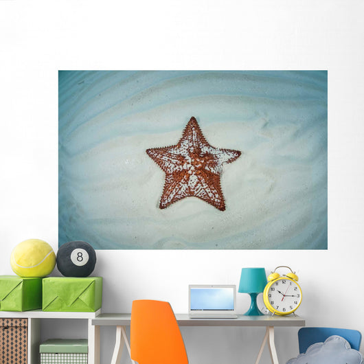 West Indian Starfish Seafloor Wall Decal Design 9