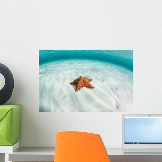 West Indian Starfish Seafloor Wall Decal Design 8