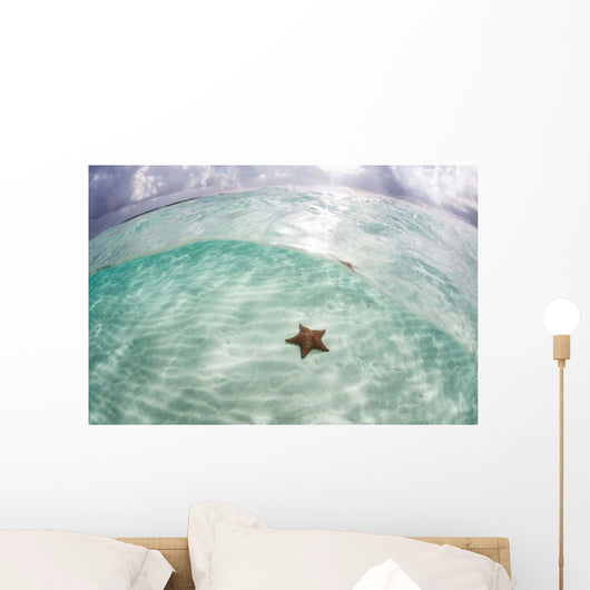West Indian Starfish Seafloor Wall Decal Design 7