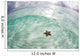 West Indian Starfish Seafloor Wall Decal Design 7