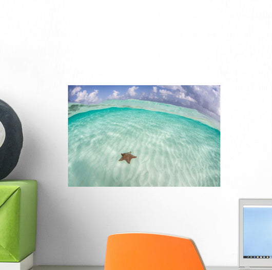 West Indian Starfish Seafloor Wall Decal Design 6