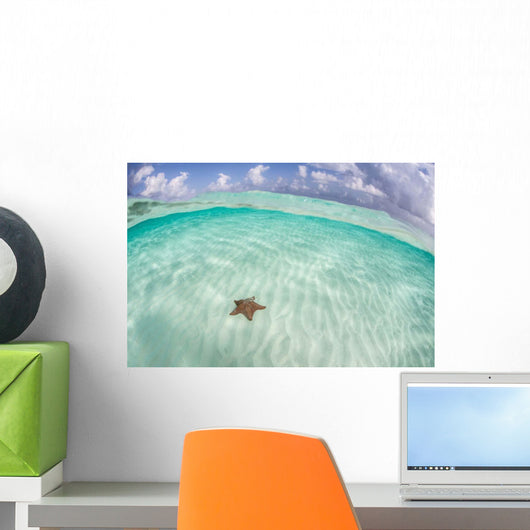 West Indian Starfish Seafloor Wall Decal Design 6