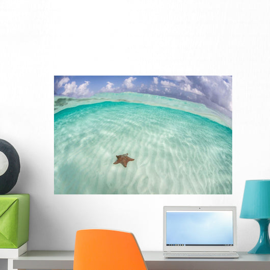 West Indian Starfish Seafloor Wall Decal Design 6